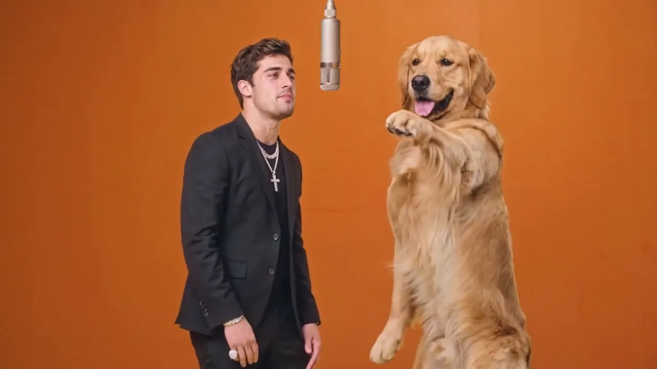 A person and a golden retriever beside a hanging microphone in an orange studio